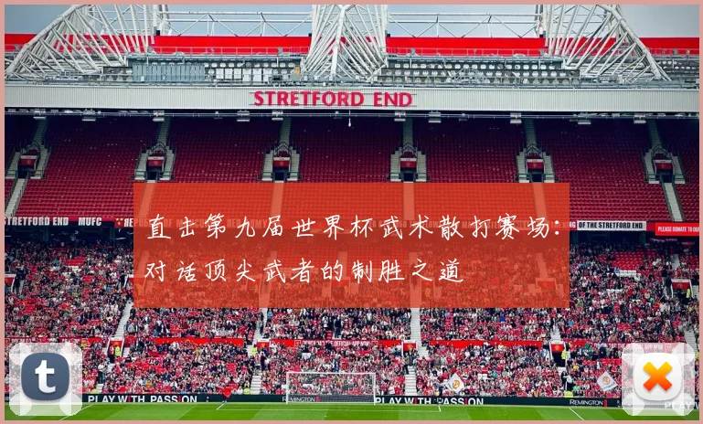 直击第九届世界杯武术散打赛场:对话顶尖武者的制胜之道
