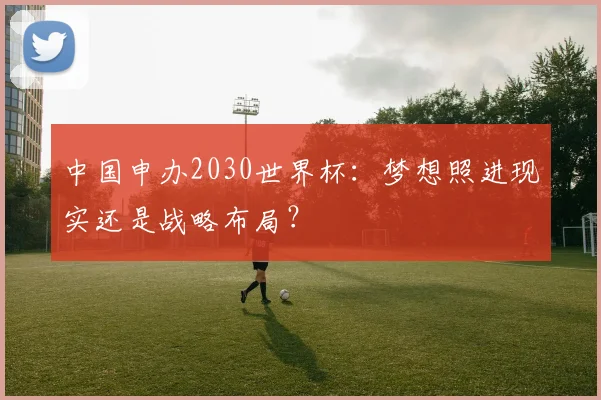 中国申办2030世界杯:梦想照进现实还是战略布局?