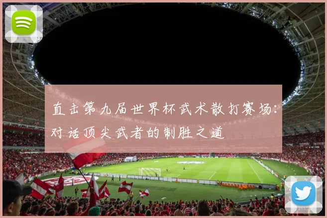 直击第九届世界杯武术散打赛场：对话顶尖武者的制胜之道